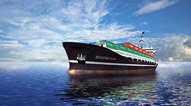 热烈庆祝宁波欣皓供应链管理有限公司网站正式上线！